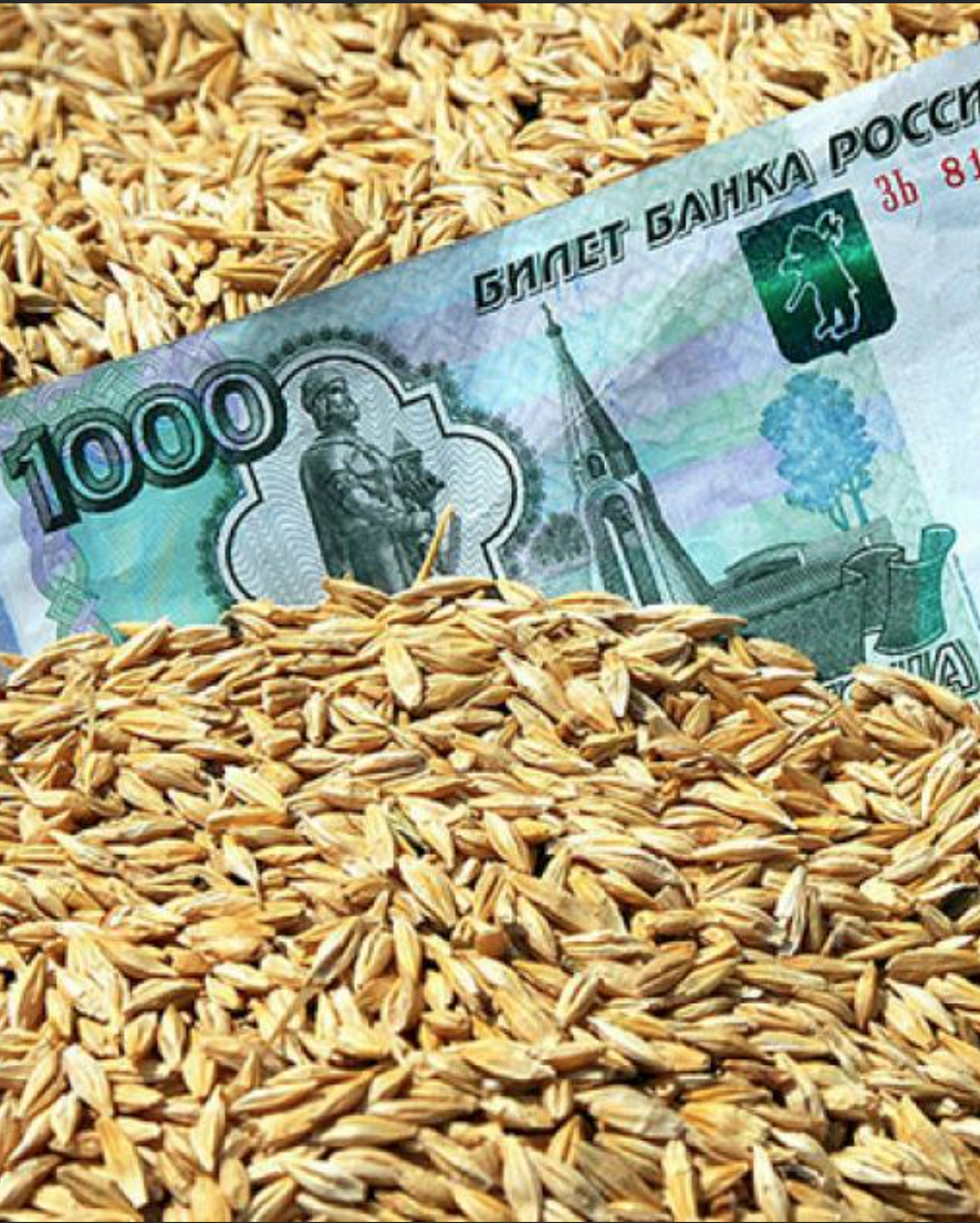 Иллюстрация к статье: В России поставлен рекорд экспорта продовольствия!
