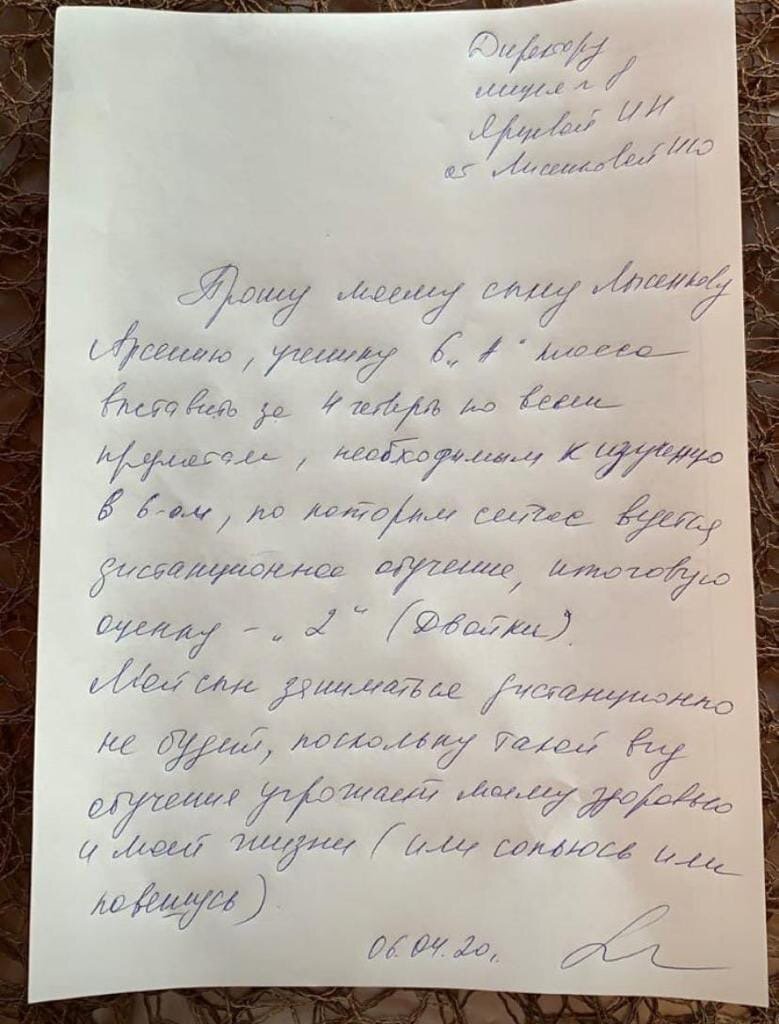 Дистанционное обучение школьников в нерабочий месяц. Удаленка… Реальность…
