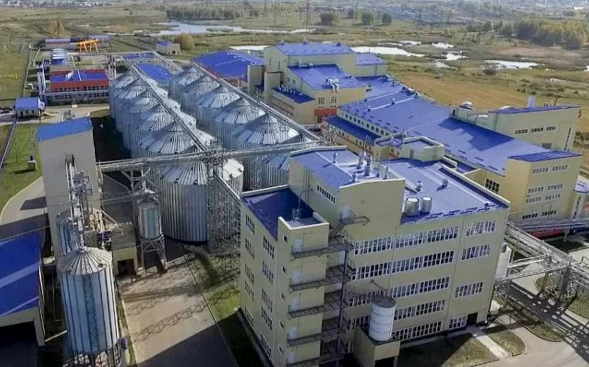 Построят новый завод по глубокой переработке пшеницы