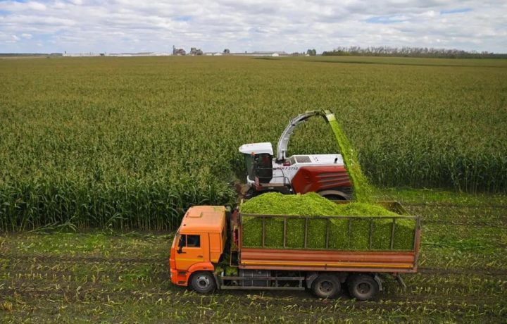 Ростсельмаш побил рекорд почти вдвое: как один комбайн заготовил 2606 тонн силоса за восемь часов